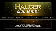 Hauger Club Lambs